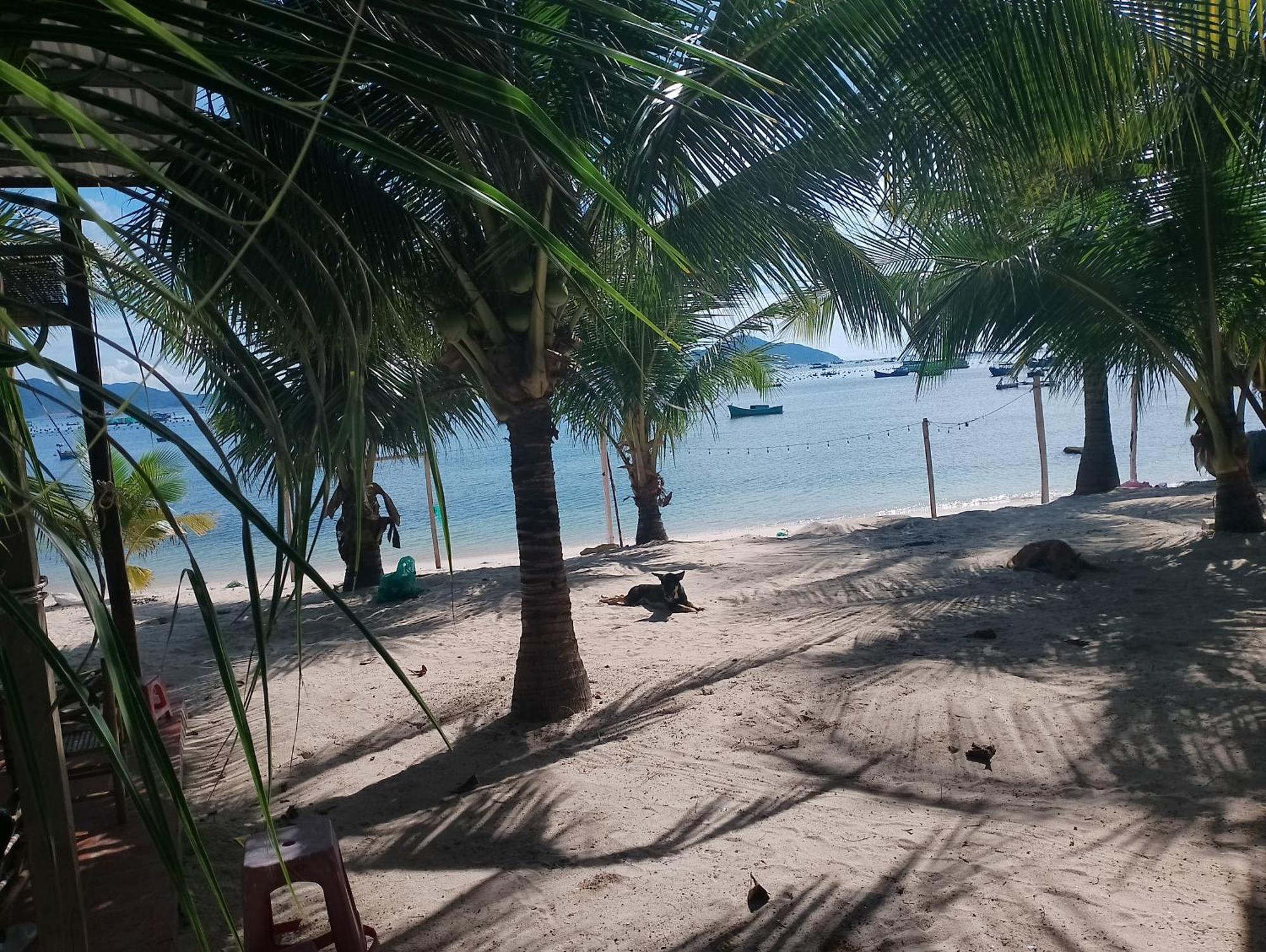 The Sunrise Anh Tu Hotel Cam Ranh Ruang foto